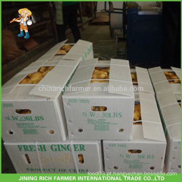 Shandong Fresh Ginger 250G Preço Baixo Atacado Para venda